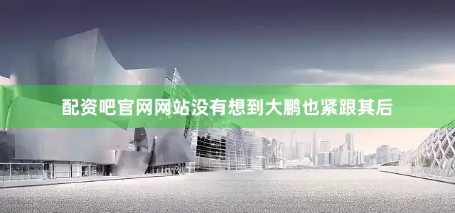 配资吧官网网站没有想到大鹏也紧跟其后